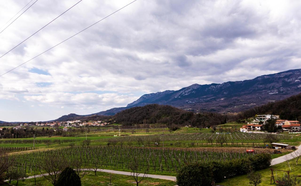 Rooms&Vinery Bregovi - Sobe In Vinska Klet Bregovi Dobravlje Экстерьер фото